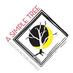 A Simple Tree (@picframing) Twitter profile photo A Simple Tree (@picframing) Twitter profile photo