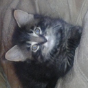 Melissa Geddes - @MammaG71 - Twitter