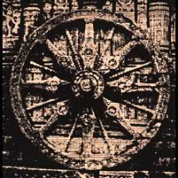 anree_42's profile picture. 