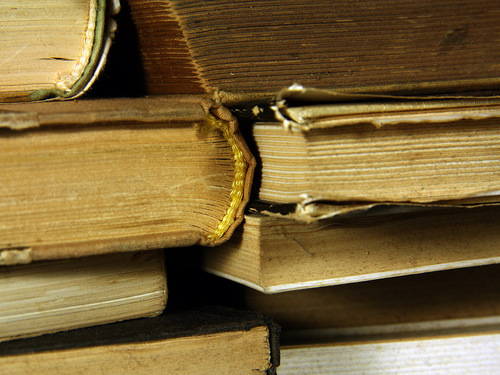 voci da un libreria
