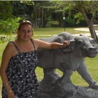 sonja rewhorn (@sonjarewhorn) 's Twitter Profile