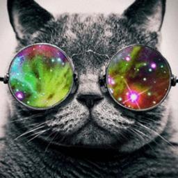 MiguelHeさんのプロフィール画像