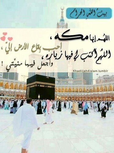 ‏أحب الصالحين ولست منهم ... وأرجو أن أنال بهم شفاعة ... وأكره من تجارتهم معاصي ... وإن كنا سواء في البضاعة