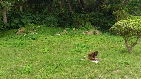 kemushimzmz's profile picture. 愛されたい寂しい腐女子のbot用垢。本音を呟いたり自分の好きなものだけをフォローするアカウント。基本BOTと会話してます 黒バス/テニプリ/デュラ/ポケモン/俺様ティーチャー/BLEACH/REBORN/銀魂/はがない/めだか ごめんなさい書ききれない。他にも沢山あります