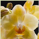 Janet Sheldon - @SheldonJanet - Twitter