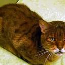 Ashley Coppage - @Dark_Ash21 - Twitter