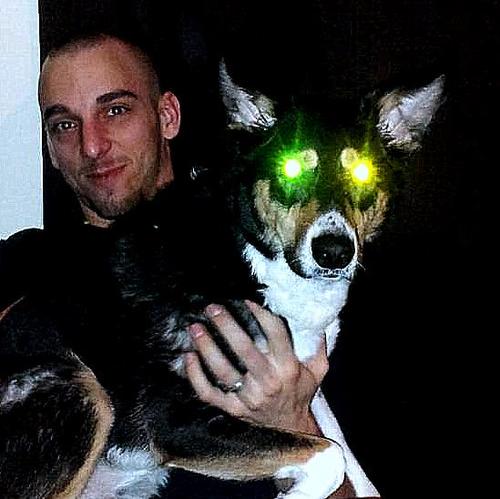 Coyote-Tamer