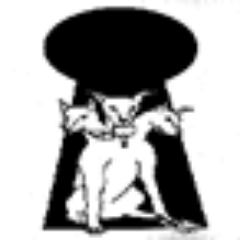 KerberosPrtcl's profile picture. Software Engineer