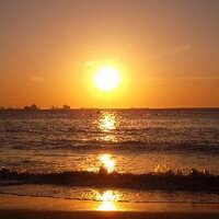 Jorge Alvarez (@jalvarez495) 's Twitter Profile