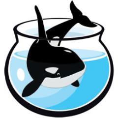 🆘 #SRKW #SaveOurSalmon #EmptyTheTanks #WhaleSanctuary #Blackfish #CaptivityIsCruelty #RIPtoki