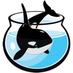Orca S※O※S (@orcasos) Twitter profile photo Orca S※O※S (@orcasos) Twitter profile photo