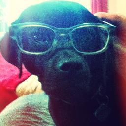 SmokeLabBbQu's profile picture. 