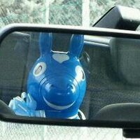 Silvia Perbellini (@silviaperbe) 's Twitter Profile