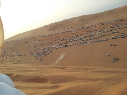 programe31's profile picture. 