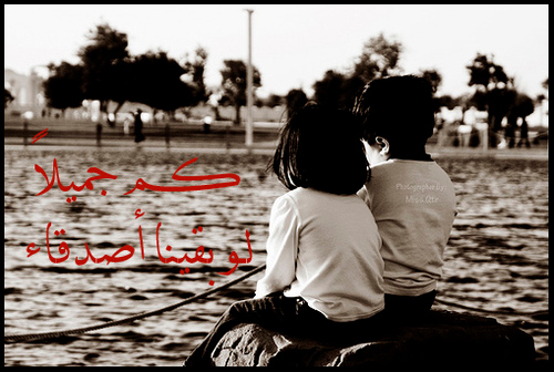 bentalshargya20's profile picture. 