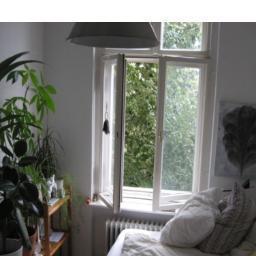 ucaIegon's profile picture. #illhueminati