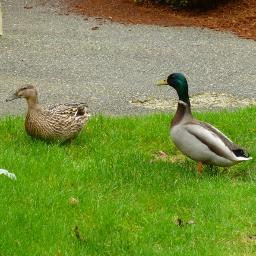 WeinerNotH8r's profile picture. Tweeting the Batpocalypse one day at a time. Always tweets about five times beyond the point. 

Just call me Lady, everyone else does.