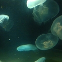 Devon Hoffman - @Devon9698 - Twitter