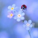 Ellen Kowalski - @Elm5680 - Twitter