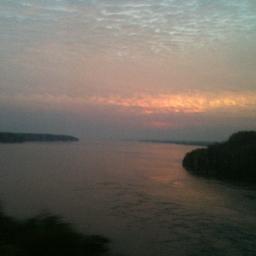 NientusDream's profile picture. 