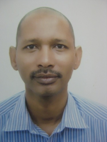 Consultant, Expert Statistician and Assistant Professor of Statistics