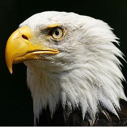 Andrett33 Profile Picture