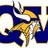 QVPSVikings's profile image
