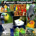 Janet Berube - @JanetBerube13 - Twitter