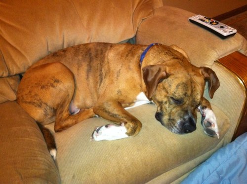 BraveBrewer57's profile picture. Teaparty con. prolife, US Army/Desert Storm vetern, self determination, individual liberty, and personel responsibility God and the 1st and 2nd amed & const.