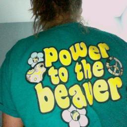 dandy_cats's profile picture. infinite