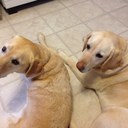 Jimmy Bowling - @Kyderby1974 - Twitter