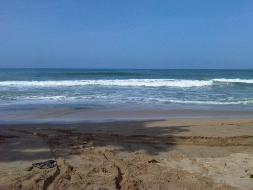 laplastica's profile picture. 