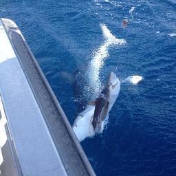 AtlasJonson's profile picture. 