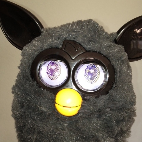 funasdodgeball's profile picture. Writing fun quizzes, book reviews, and other cool stuff