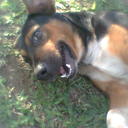 Wilson WISE - @wilson_wise - Twitter