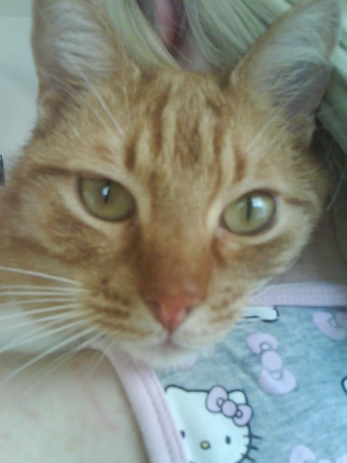 mariannebb's profile picture. trotse oma van Lev en Pom, Lo Doortje en Mees! en sinds 23-8-25 van Anna!