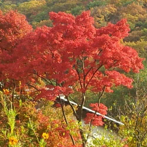 보수지킴이라기보다 정직한 사회 올바른 사회 구현에 앞장서고싶으며 종북좌파들에게 이나라를 맡길수없다 우리들의 목소리도 크게 내야할때!