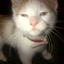 Mike Senior - @mikegetblazed - Twitter