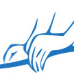 FractalTerapias's profile picture. Equilibrar las energías yin yang, y hacer circular el Qi (energía) y la sangre.
TERAPIAS COMPLEMENTARIAS NATURALES