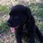 jash121's profile image