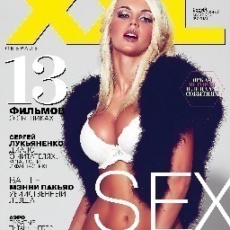 StarsXPress's profile picture. 