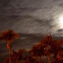 Casey Badua - @hellomisscasey - Twitter