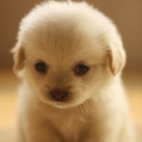 Maggie Simon - @HarryPotter0104 - Twitter