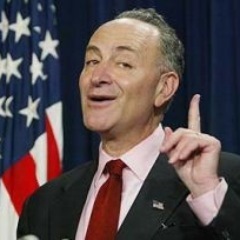 FAKE Senator Schumer for the 2013 Congressional Simulation.