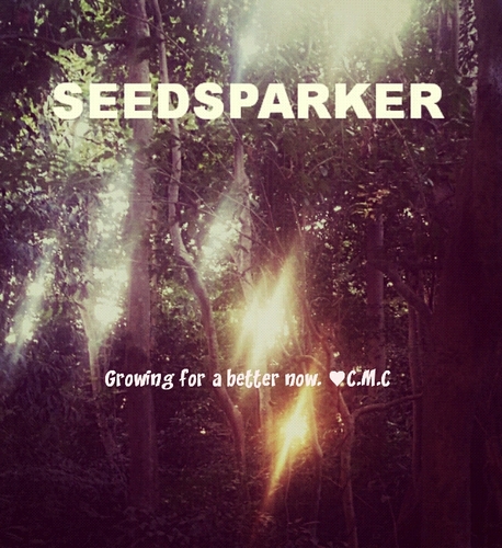 Seedsparker's profile picture. Inquisitive Edutaining Inspirational thoughts, Ideas and Ingenuity. Business, Social Entrepreneurship, and Eco-friendly. ♥C.M.C