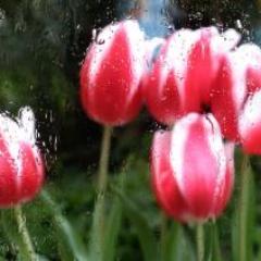 jtate72's profile picture. 