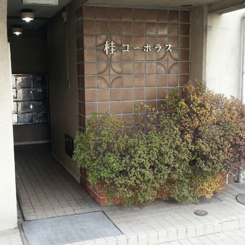 1990年生まれ。 気付けば社会人も5年以上。商社勤務。