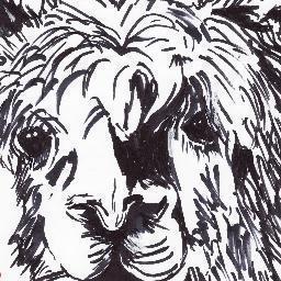 LaughingAlpacas's profile picture. SERVICES OFFERED
FOR THE AMAZING ALPACA OWNERS
Vancouver Island, BC, Canada