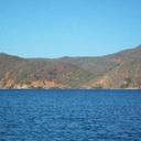 joe lach - @snake_vai - Twitter