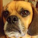 John Constant - @knifebeast23 - Twitter